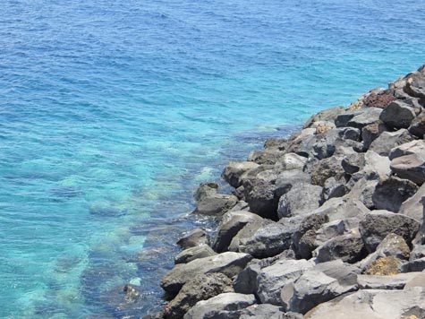 Los Cristianos, Tenerife