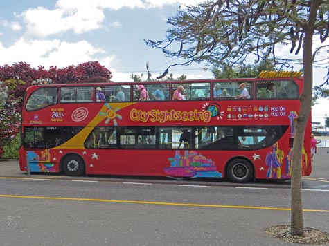 Hop-on Hop-off Bus on Tenerife